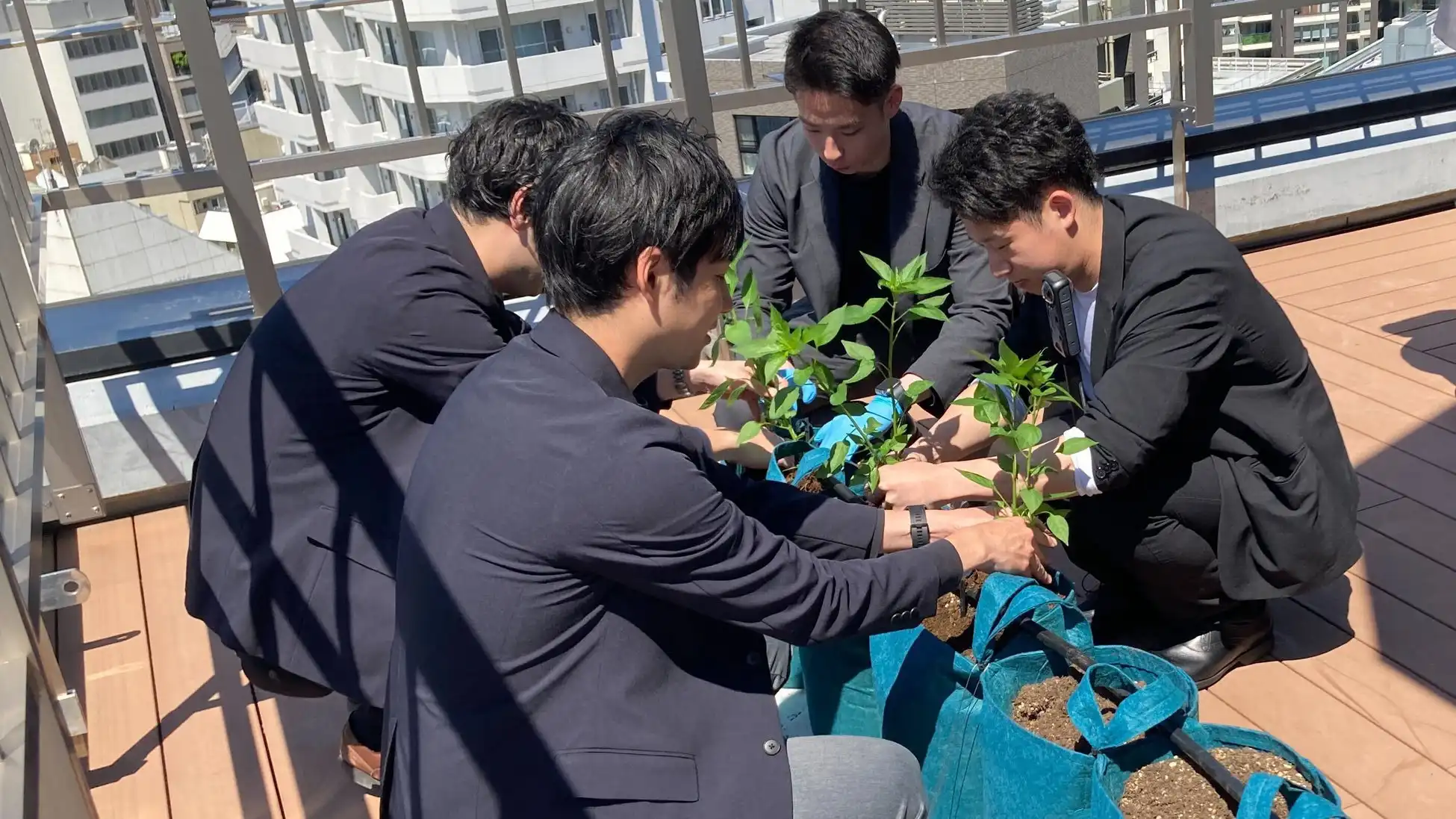 アイティフォー、IoTとAI活用した本社オフィス菜園を開始、サステナビリティ推進と地域貢献を目指す