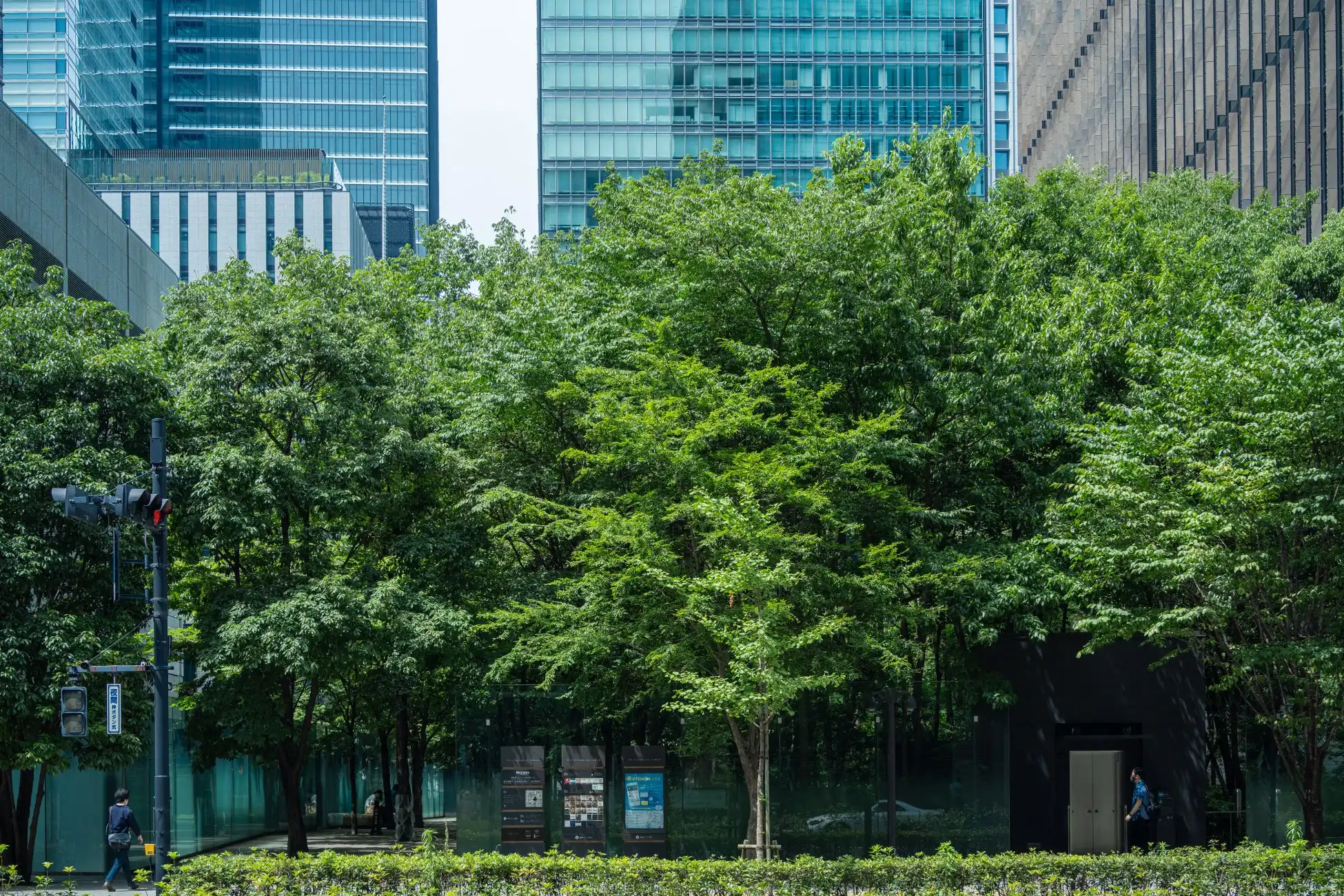 東京建物がTNFD提言に賛同し情報開示、自然資本と生物多様性保全への取り組みを強化