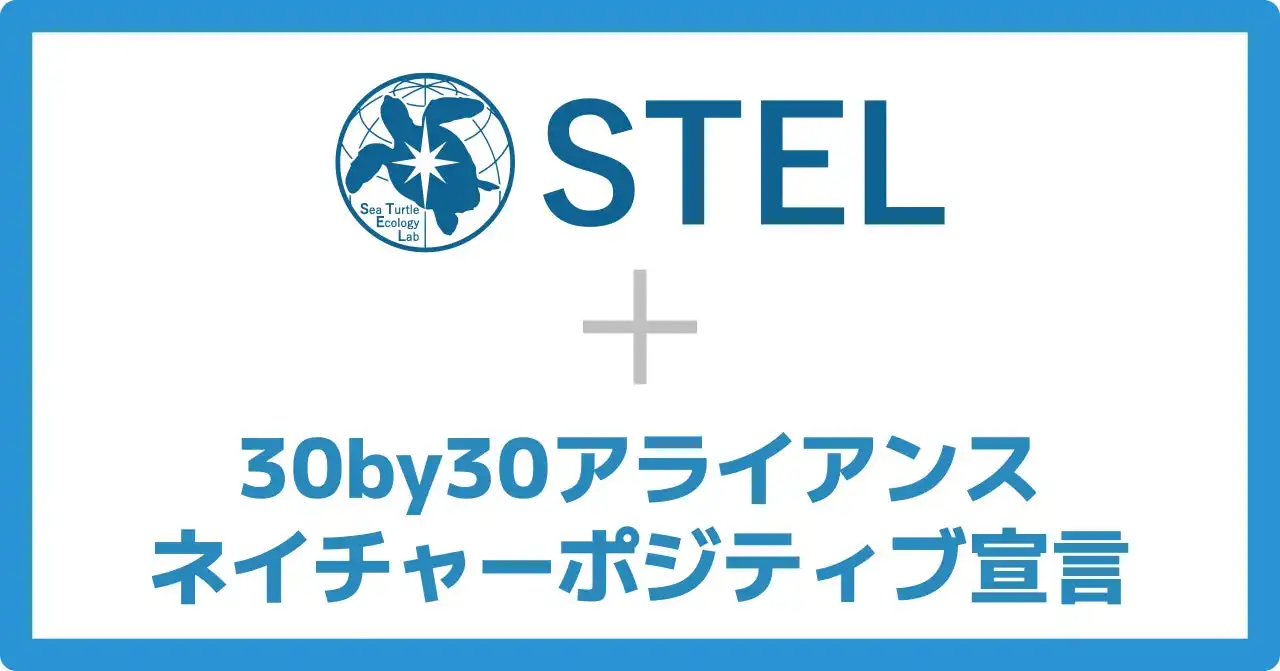 STELが環境省30by30アライアンスに参加、ウミガメ保全で生物多様性保全に貢献