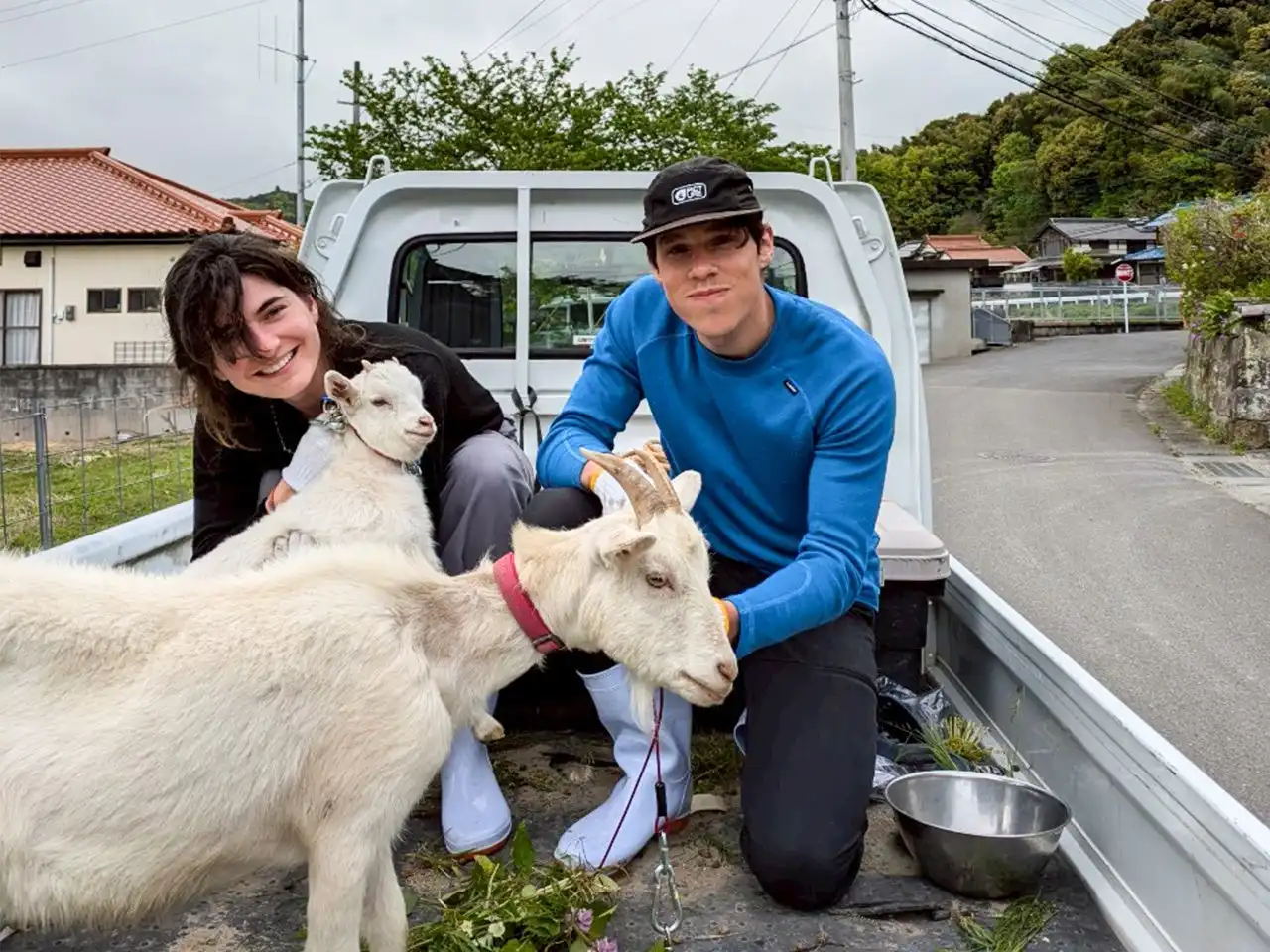 唐津Farm&Food、ボランティアツーリズムでネイチャーポジティブ実現へ里山保全と国際交流を推進