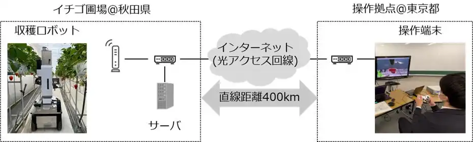 NTT東日本、エッジコンピューティング活用で遠隔収穫ロボット操作に成功、スマート農業促進に貢献