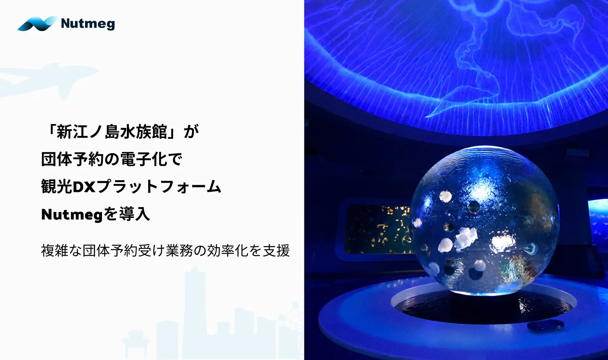 新江ノ島水族館、Nutmeg導入で団体予約業務を効率化
